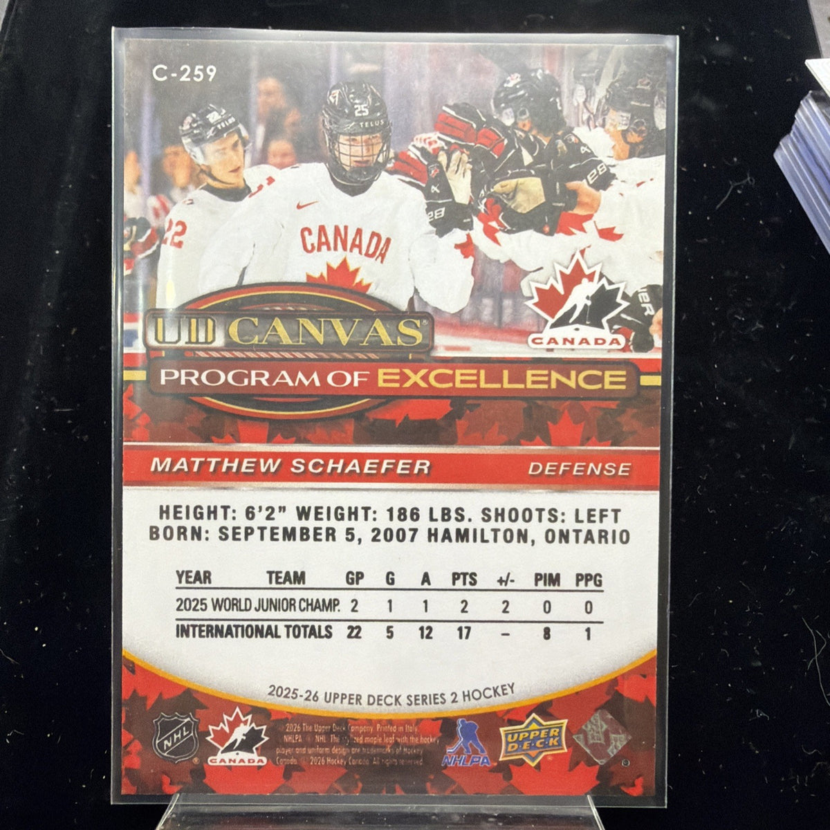 2025 UPPER DECK SERIES 2 MATTHEW SCHAEFER UD CANVAS PROGRAM OF EXCELLENCE RC1