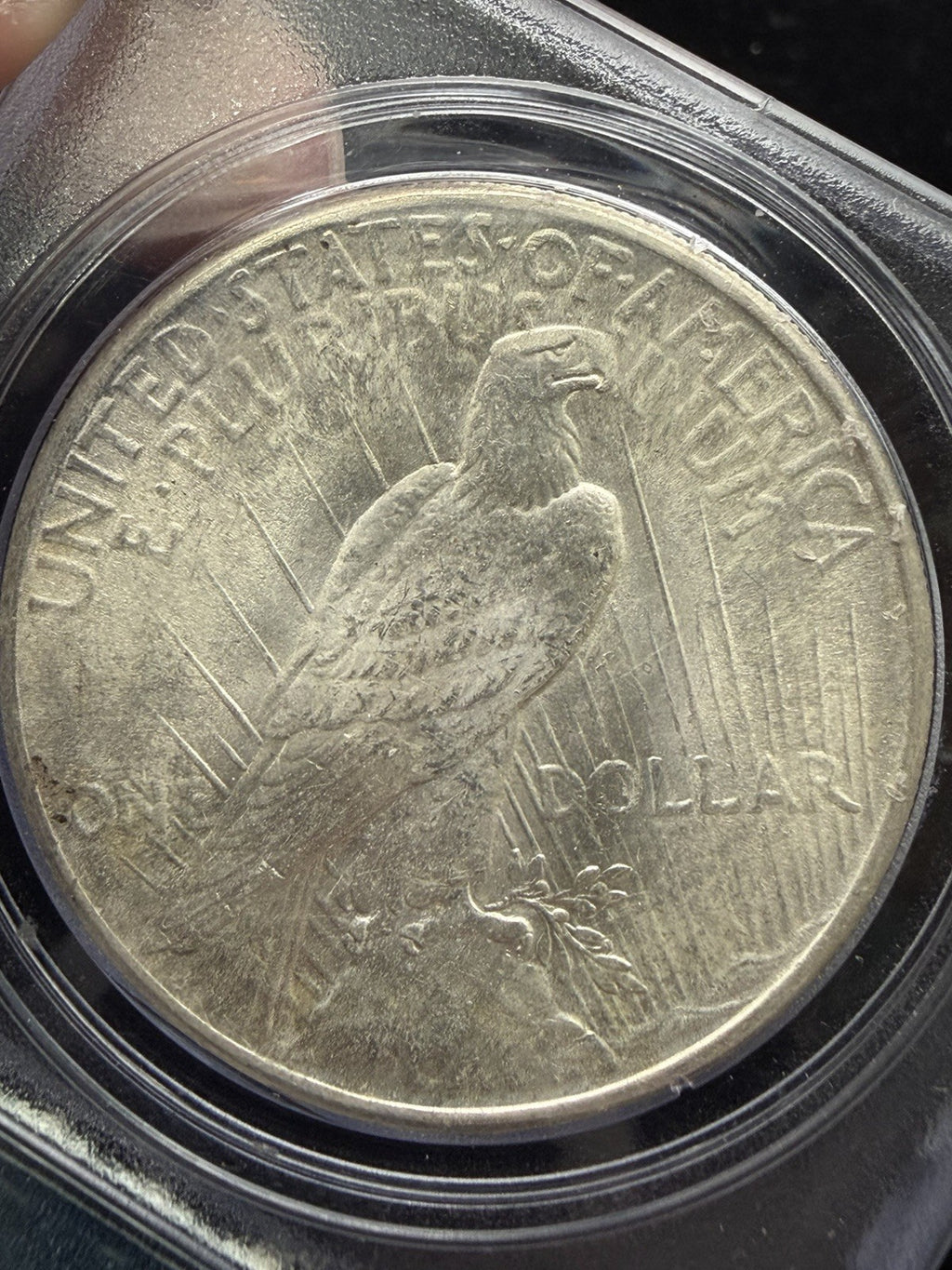 1925 Peace Dollar PCGS MS65 In RARE Rattler Holder - US silver $1 Coin3