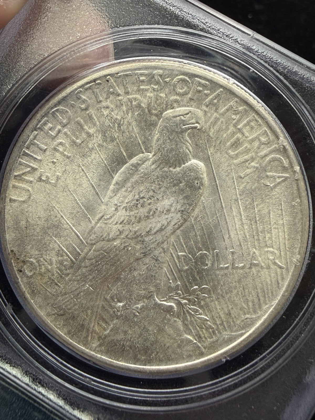 1925 Peace Dollar PCGS MS65 In RARE Rattler Holder - US silver $1 Coin3